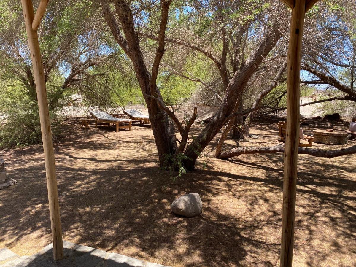 La Huaica El Huarango Eco Retreat 빌라 외부 사진