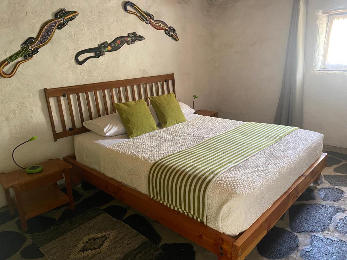 La Huaica El Huarango Eco Retreat 빌라 외부 사진